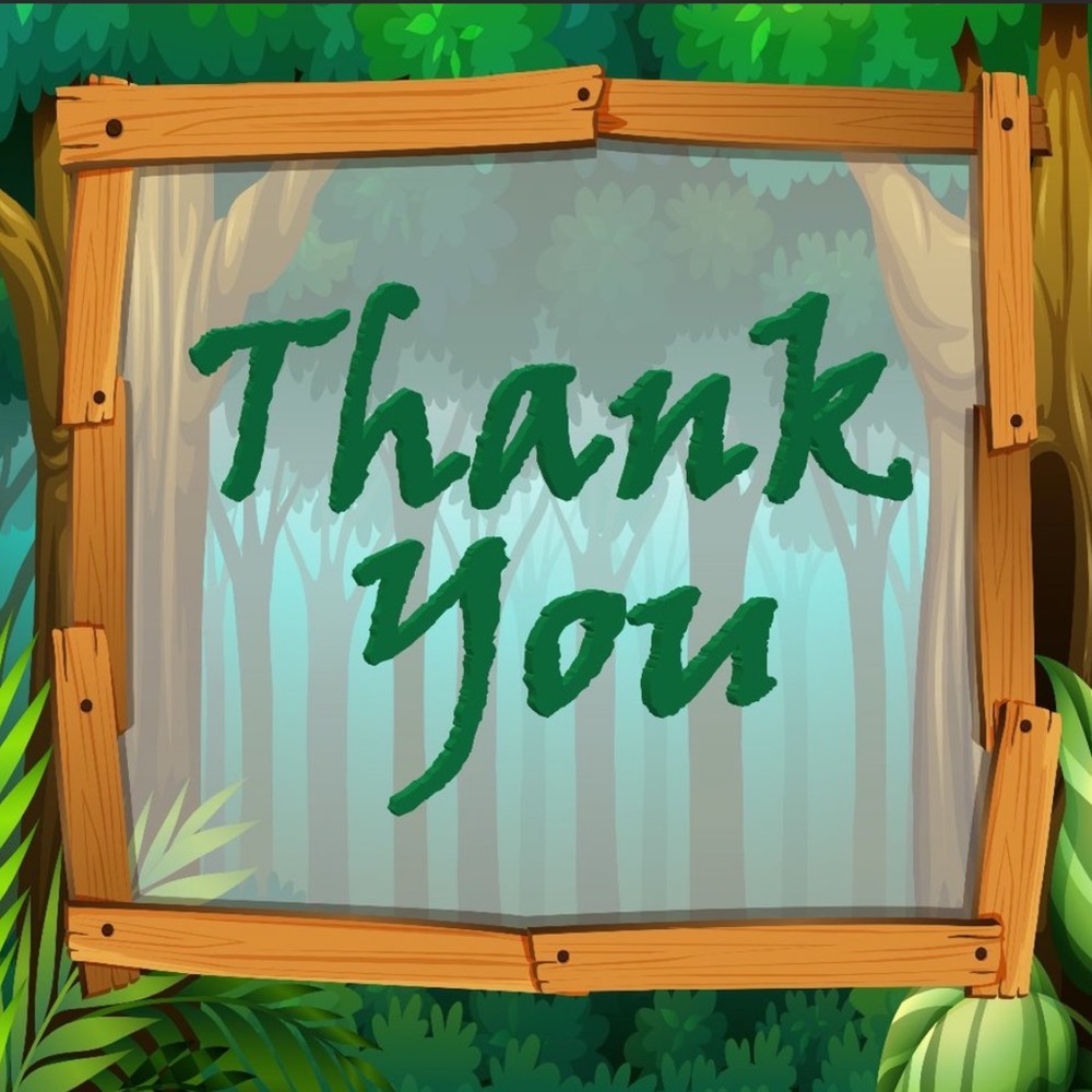 100 (2x2 Inch)Jungle Square Stickers, Full Color, High Gloss, PRICE IS FIRM - Picture 2 of 2